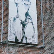 Diane Bogaerts